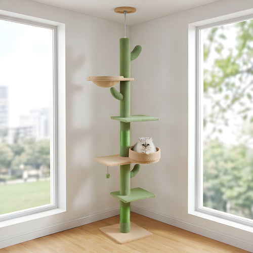 Arbre à chat cactus sol-plafond