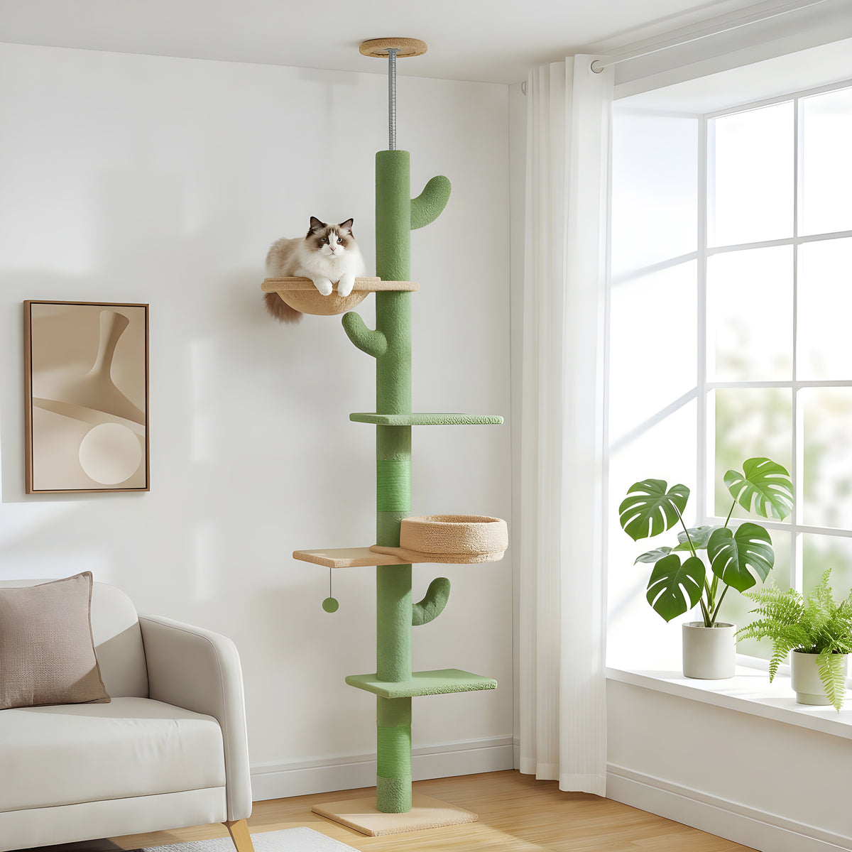 Arbre à chat cactus sol-plafond