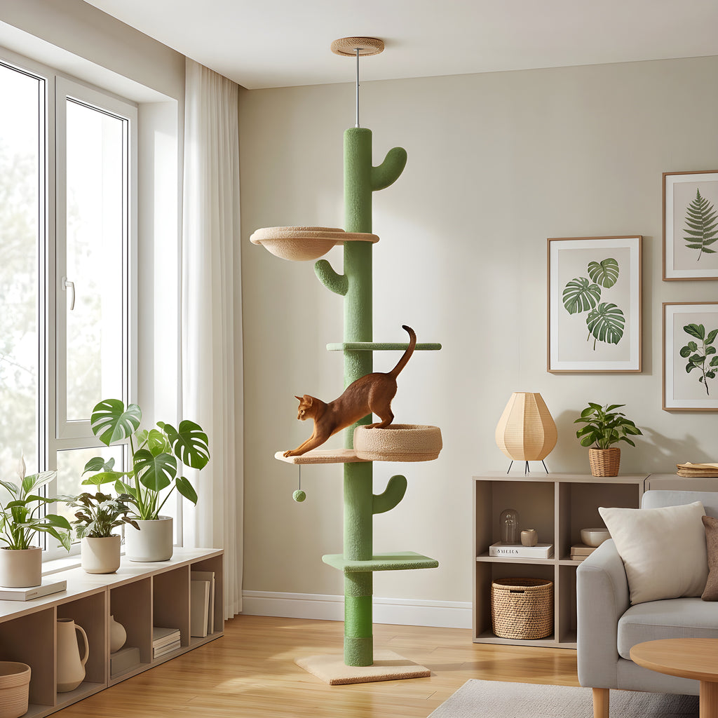 Arbre à chat cactus sol-plafond