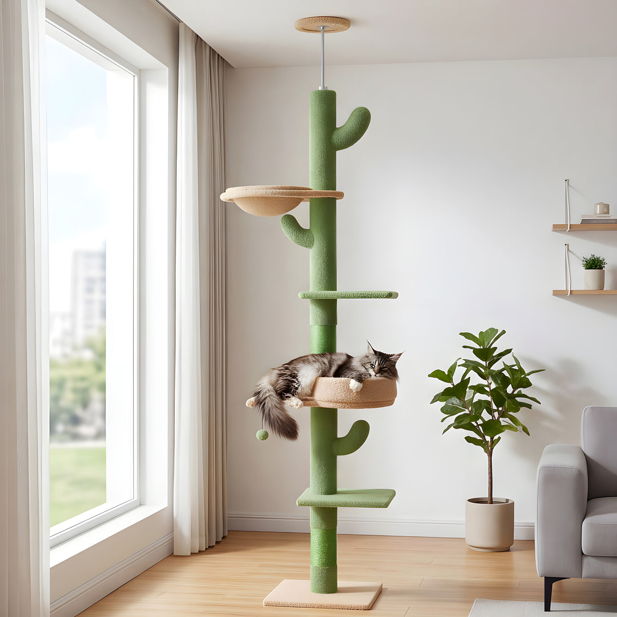 Arbre à chat cactus sol-plafond