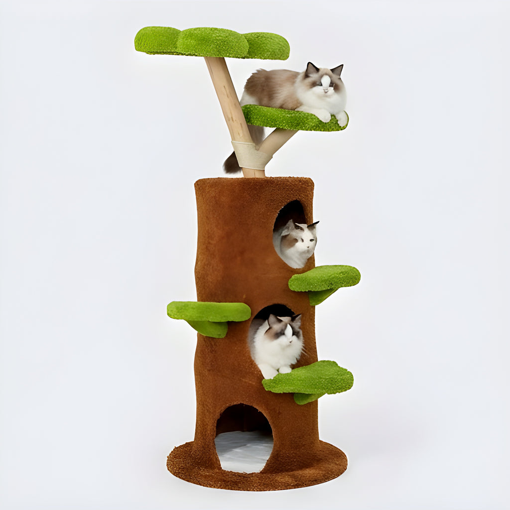 Arbre à chat en bois 148 cm