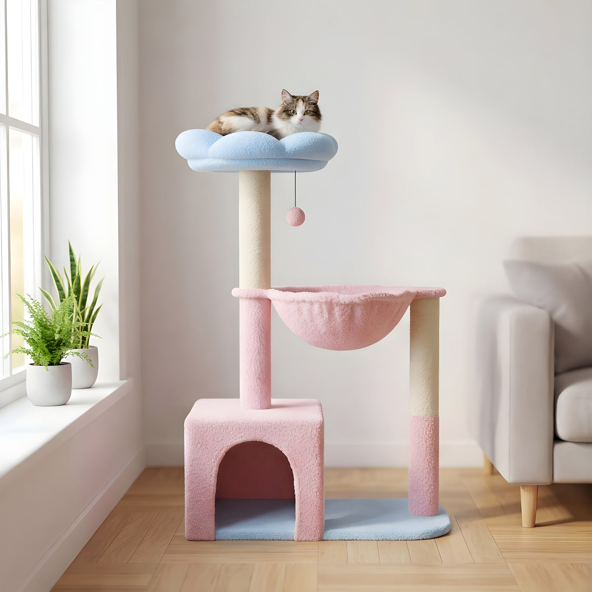 Arbre à chat fleur compact