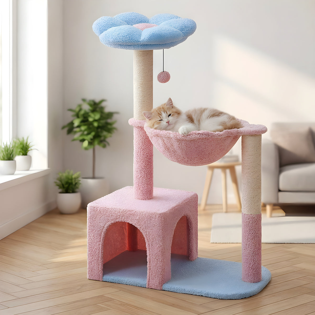 Arbre à chat fleur compact