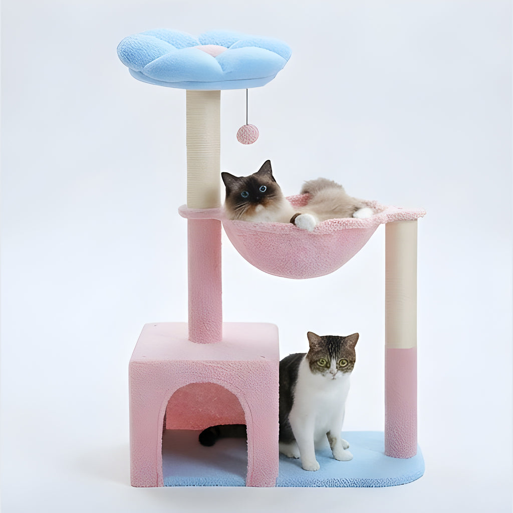 Arbre à chat fleur compact