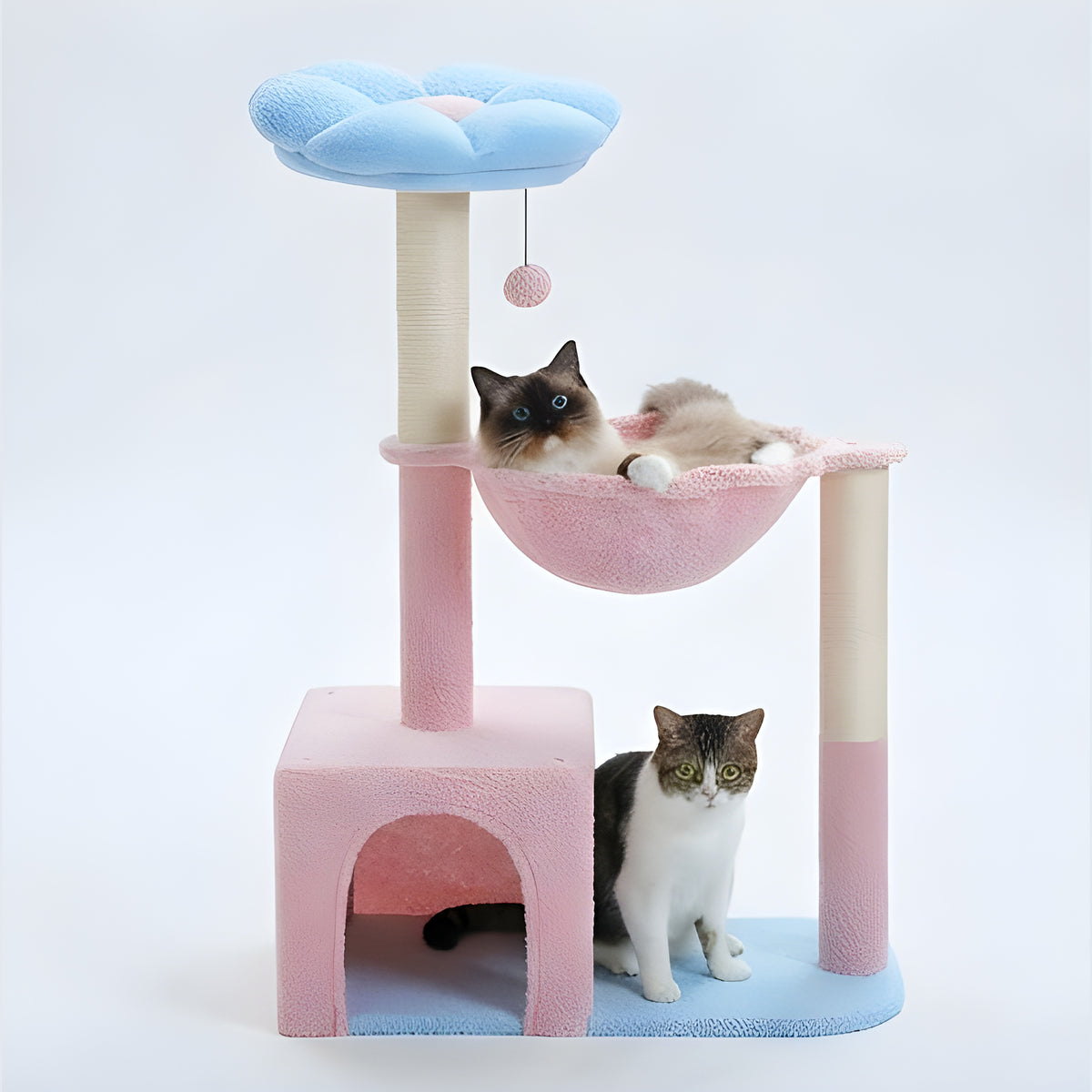 Arbre à chat fleur compact