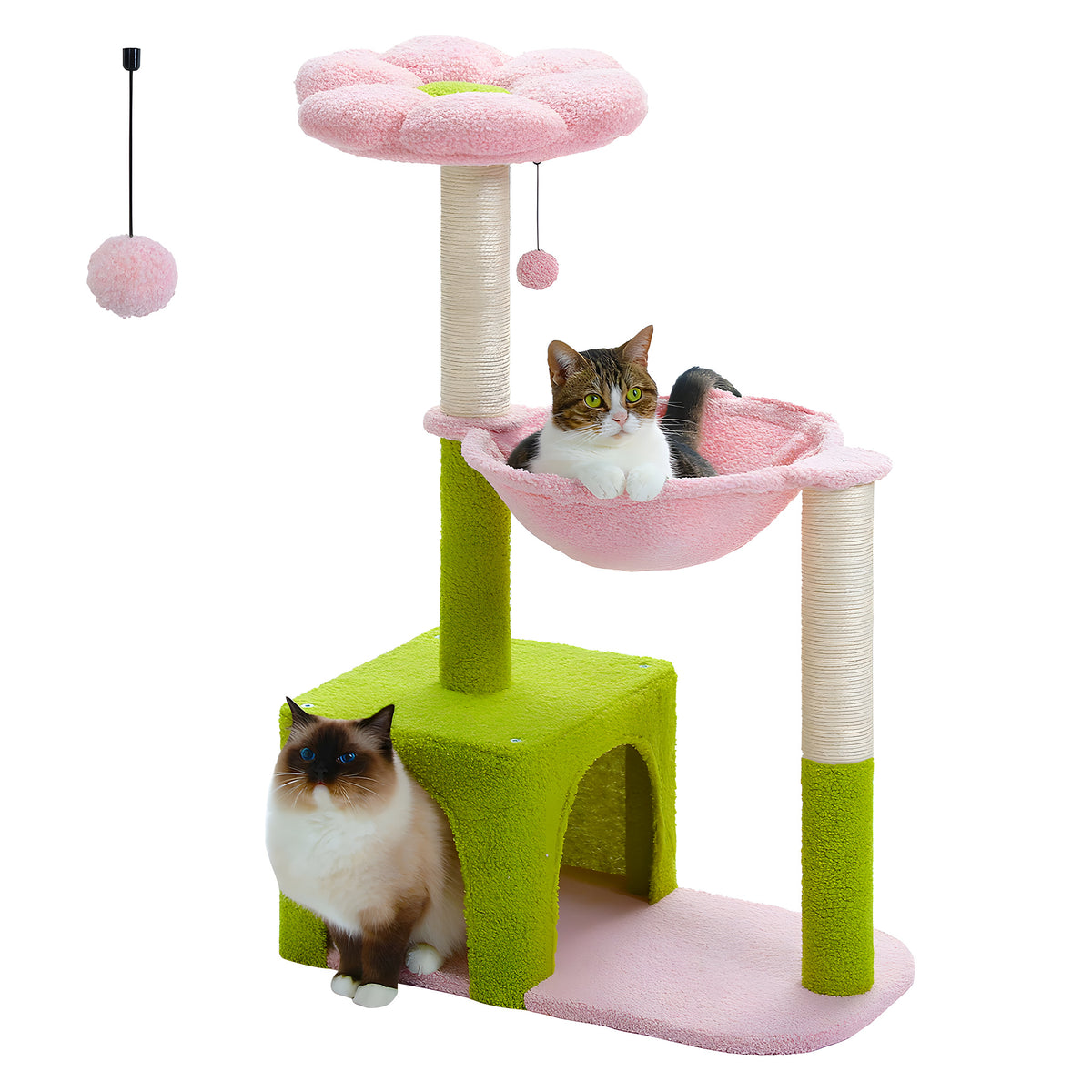 Arbre à chat fleur compact