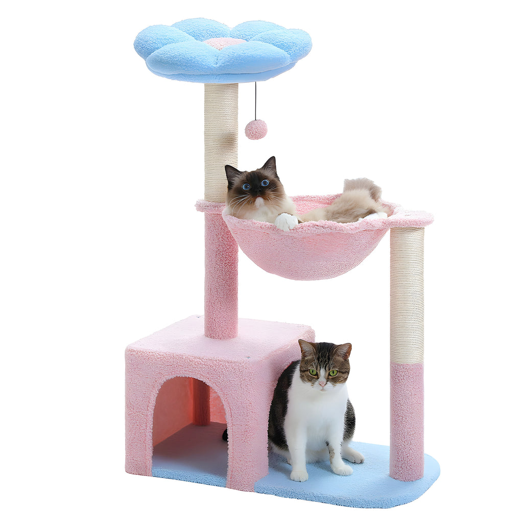 Arbre à chat fleur compact