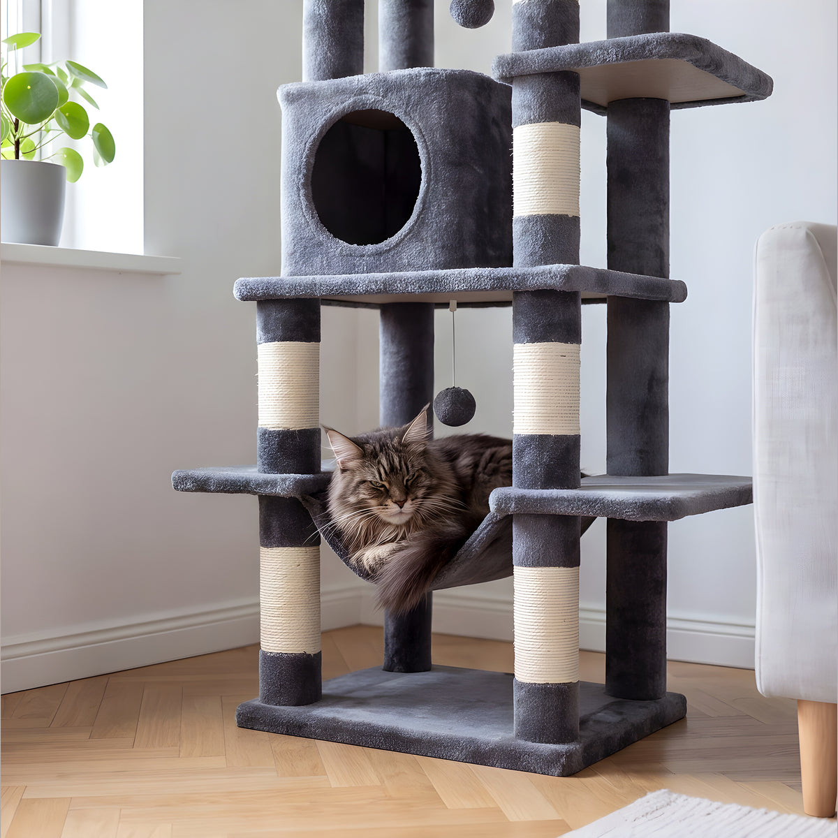 Arbre à chat Maine Coon 170 cm