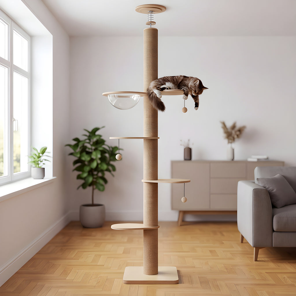 Arbre à chat sol-plafond 200-261 cm