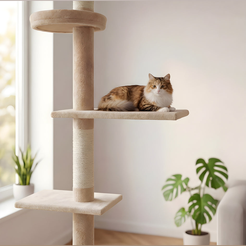 Arbre à chat sol-plafond 228-274 cm