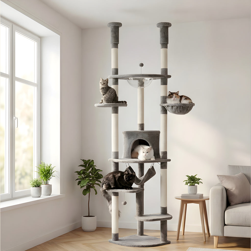 Arbre à chat sol-plafond 236-258 cm