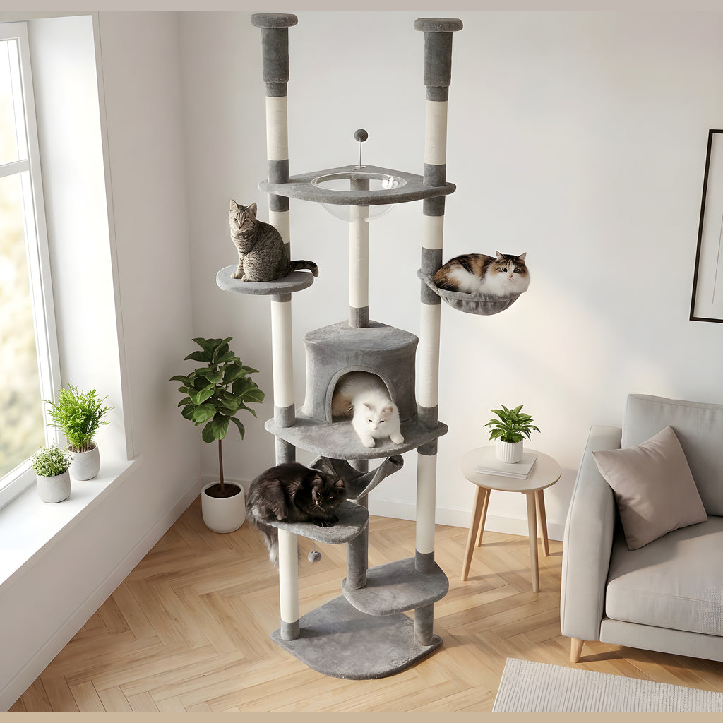 Arbre à chat sol-plafond 236-258 cm