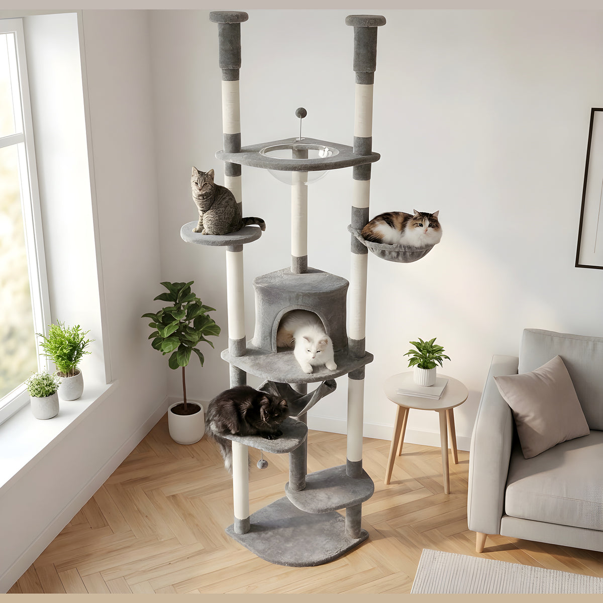 Arbre à chat sol-plafond 236-258 cm