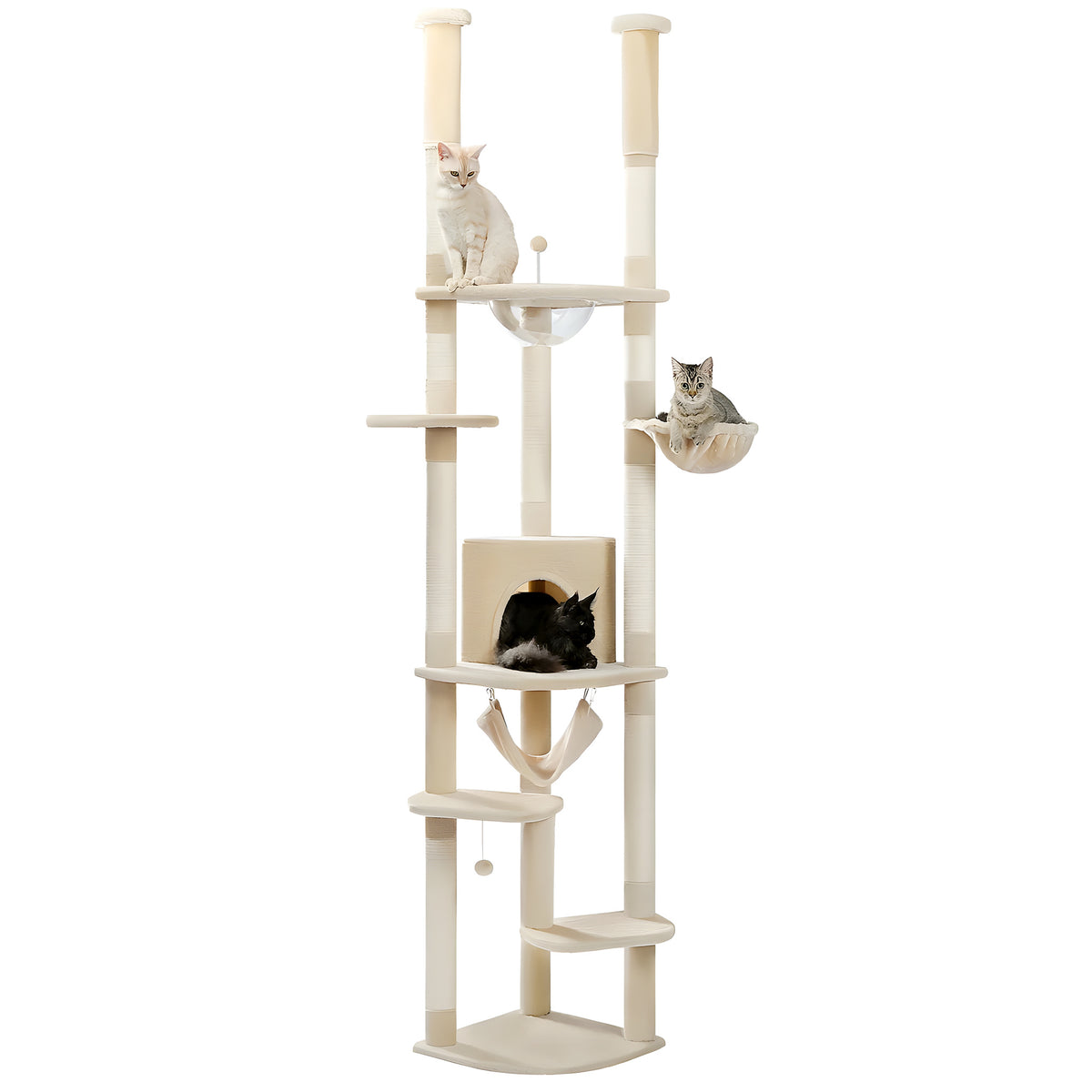 Arbre à chat sol-plafond 236-258 cm