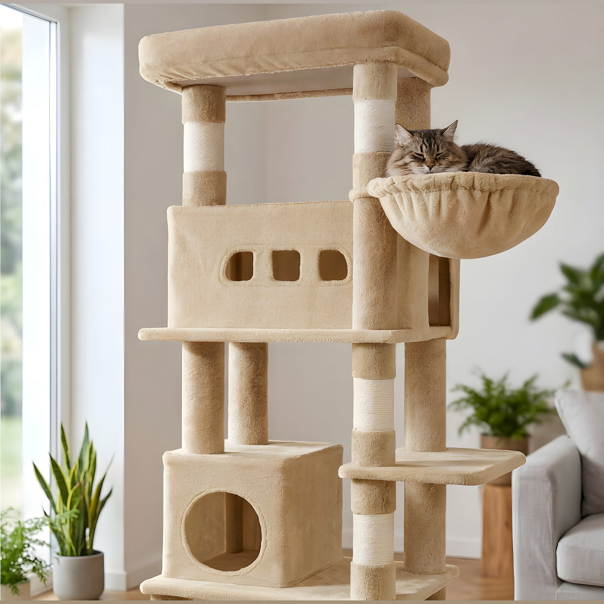 Arbre à chat XXL 210 cm 6 niveaux