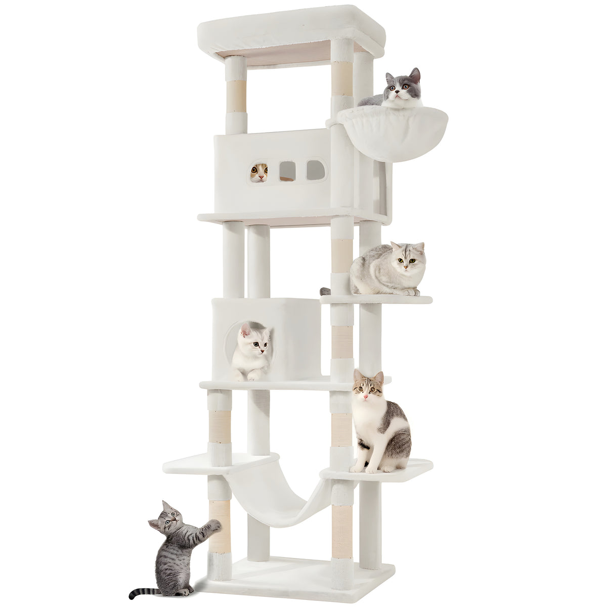 Arbre à chat XXL 210 cm 6 niveaux