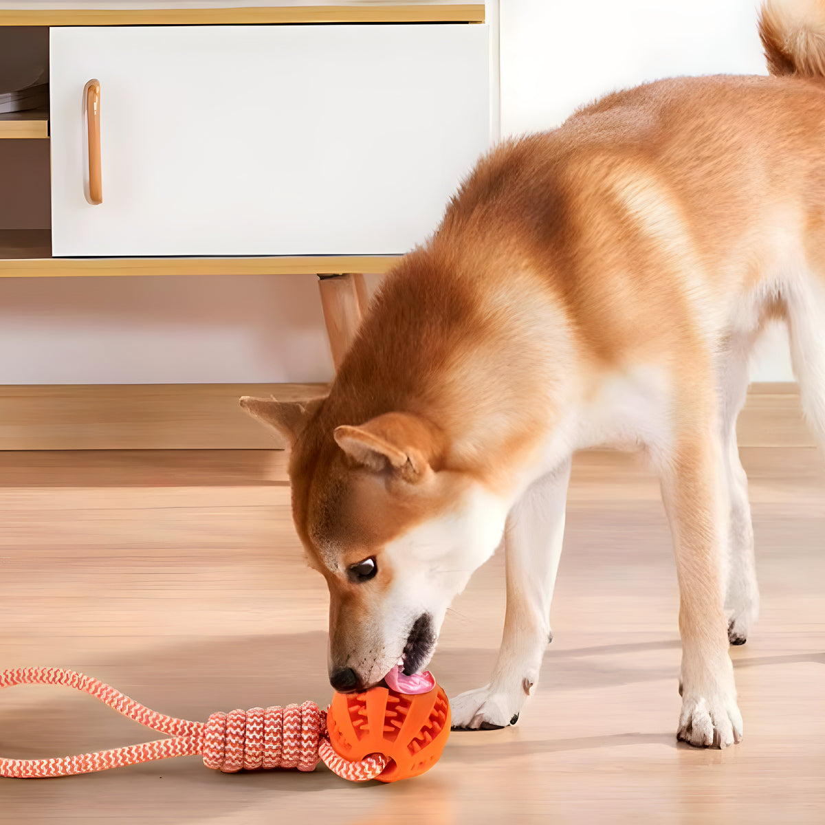 Balle à friandises avec corde pour chien moyen