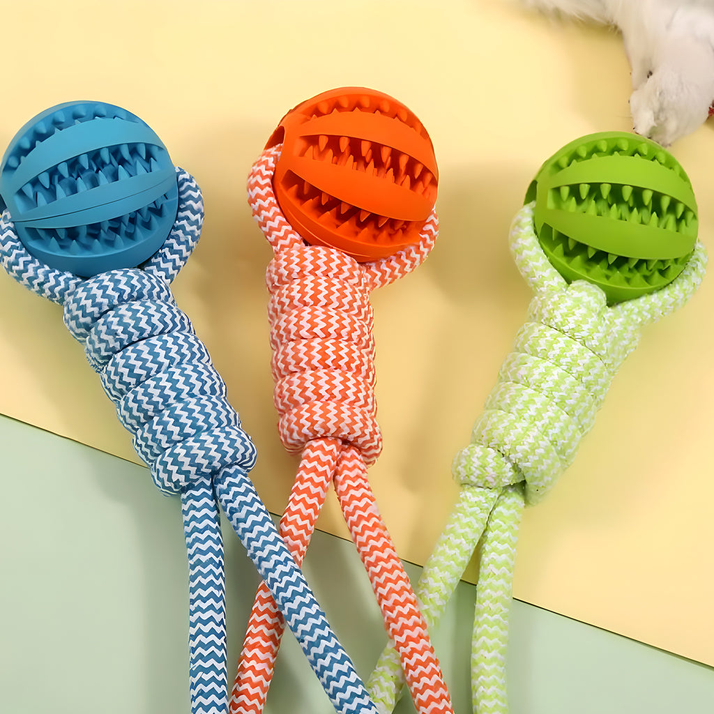 Balle à friandises avec corde pour chien moyen