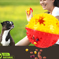 Balle bicolore interactive pour chien