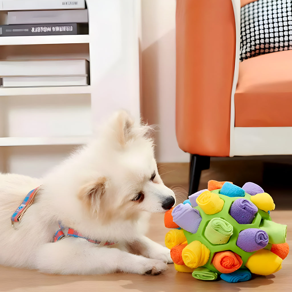 Balle de fouille Ø14 cm pour chien, 6 modèles