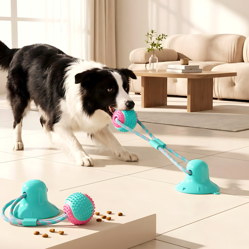 Balle de traction avec ventouse pour chien