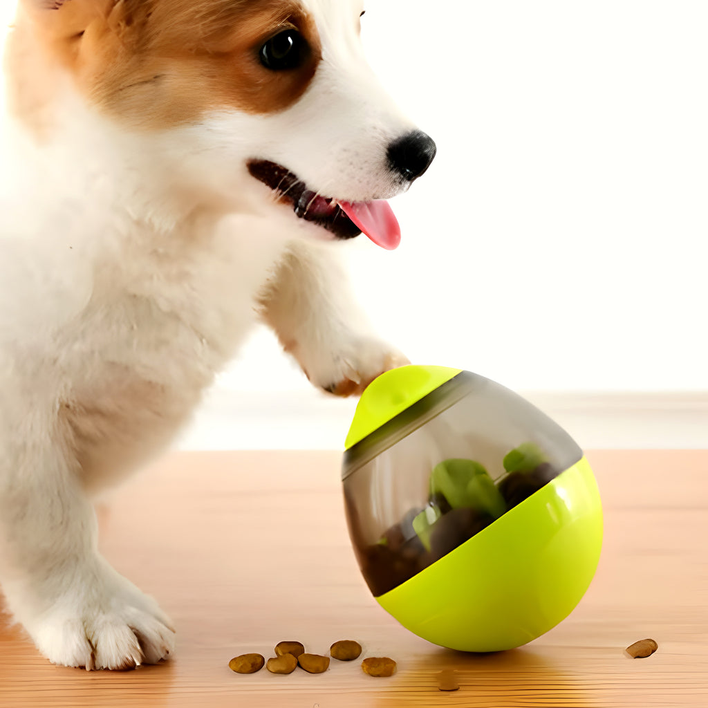 Balle distributrice de croquettes démontable pour chien