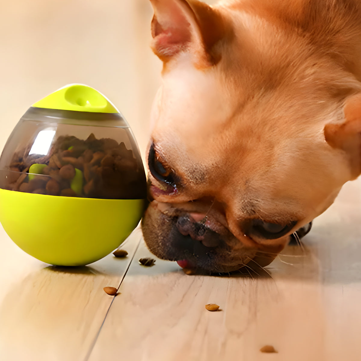 Balle distributrice de croquettes démontable pour chien