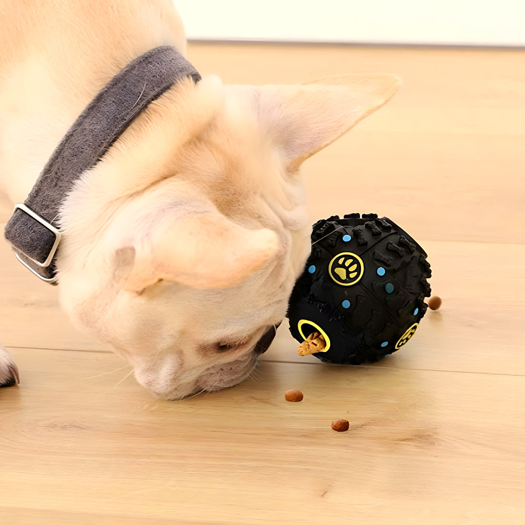 Balle distributrice de croquettes en TPR noire pour chien