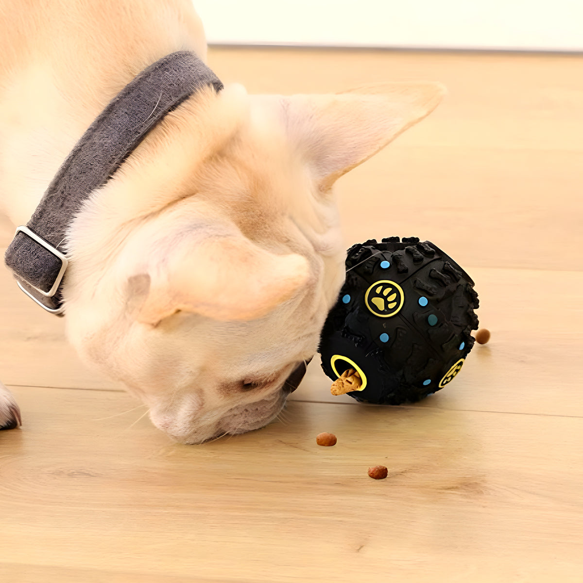 Balle distributrice de croquettes en TPR noire pour chien