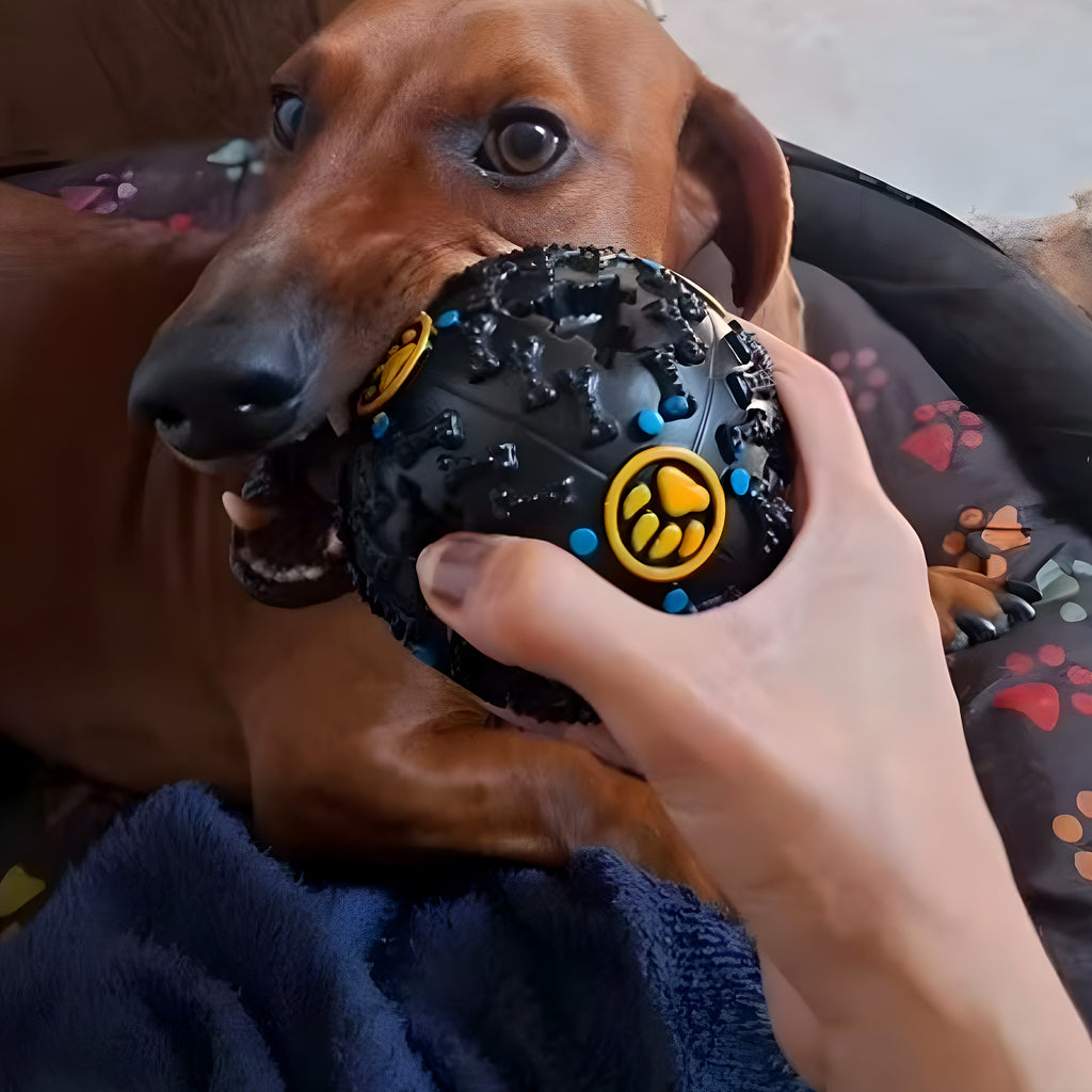 Balle distributrice de croquettes en TPR noire pour chien