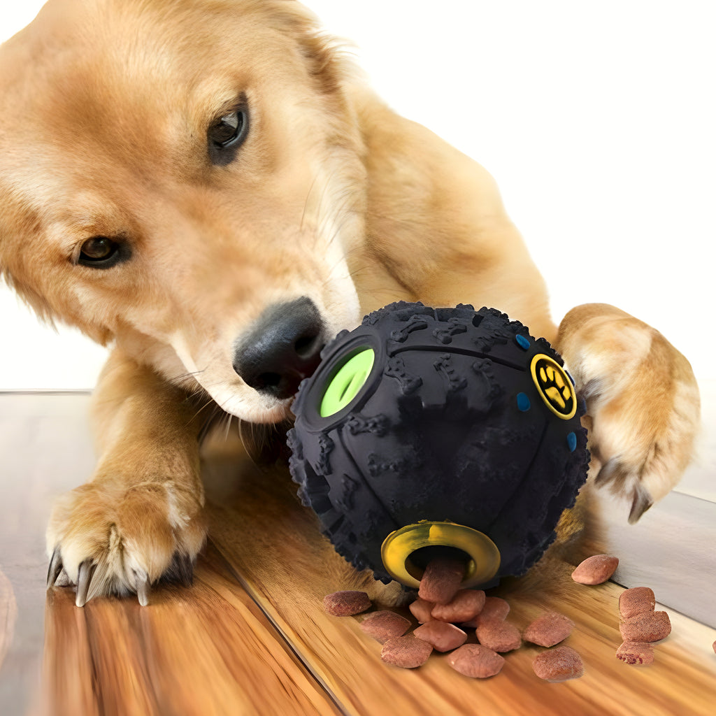 Balle distributrice de croquettes en TPR noire pour chien