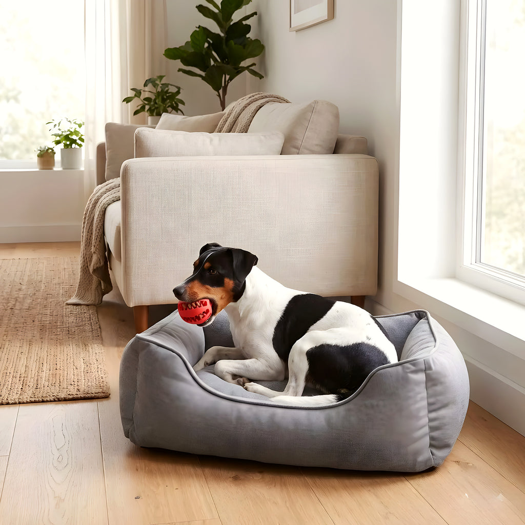 Balle distributrice de friandises en caoutchouc naturel