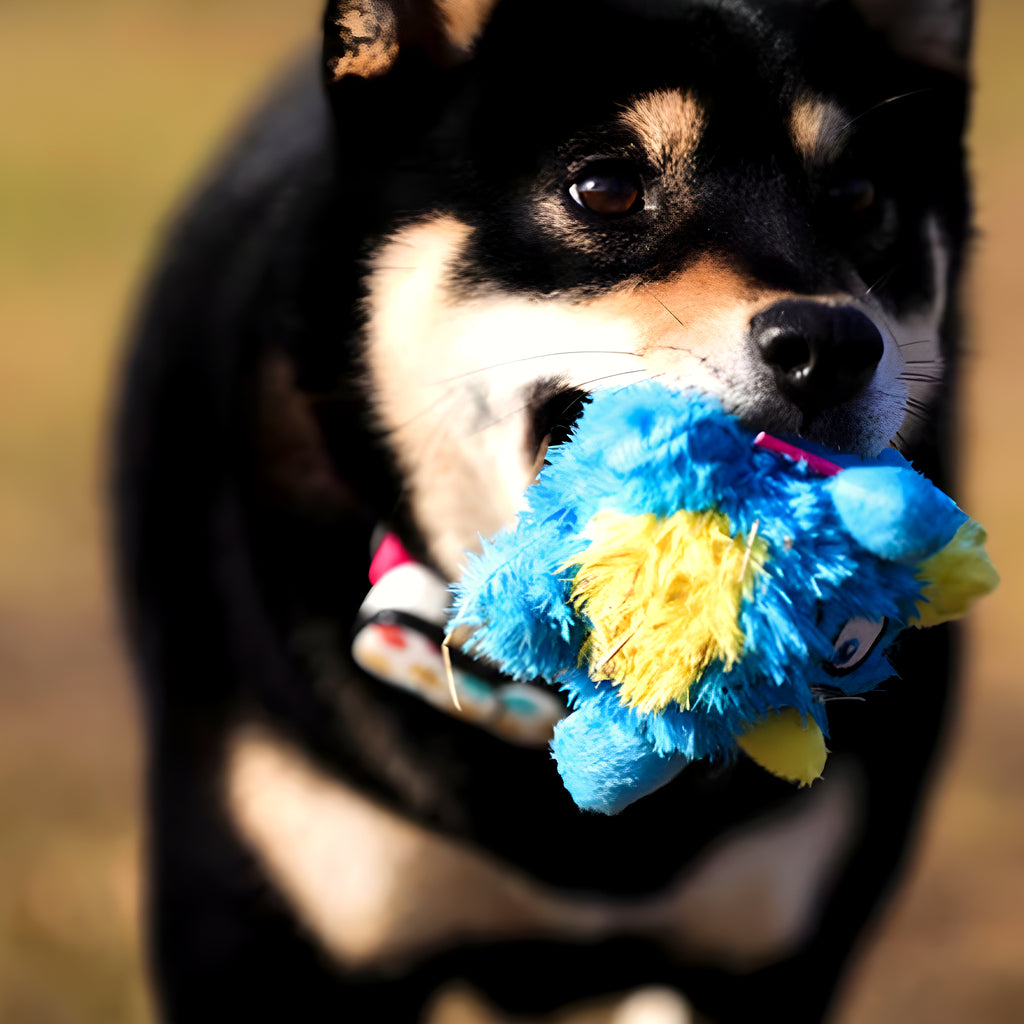 Balle en peluche qui couine pour chien, S ou L