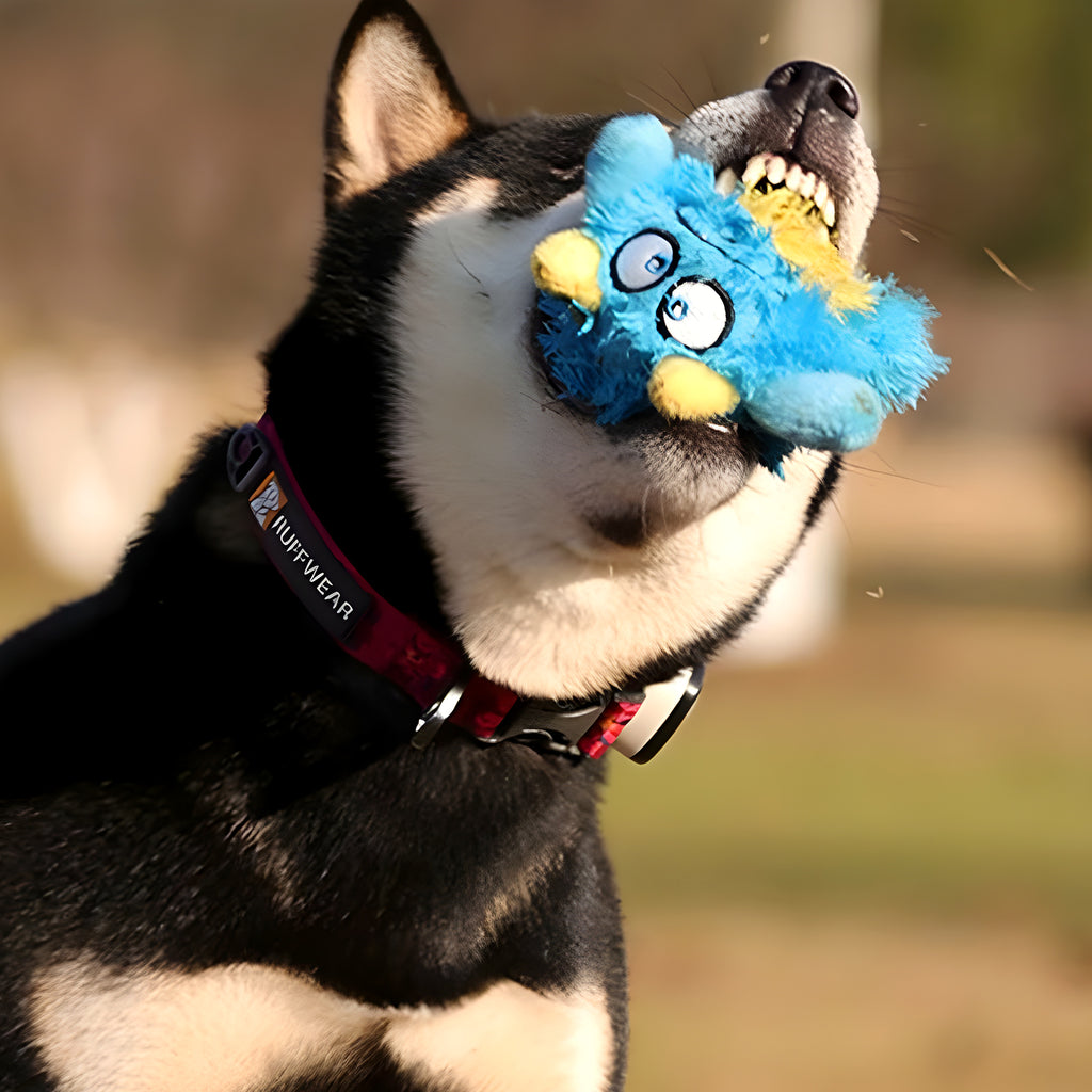 Balle en peluche qui couine pour chien, S ou L