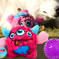 Balle en peluche qui couine pour chien, S ou L