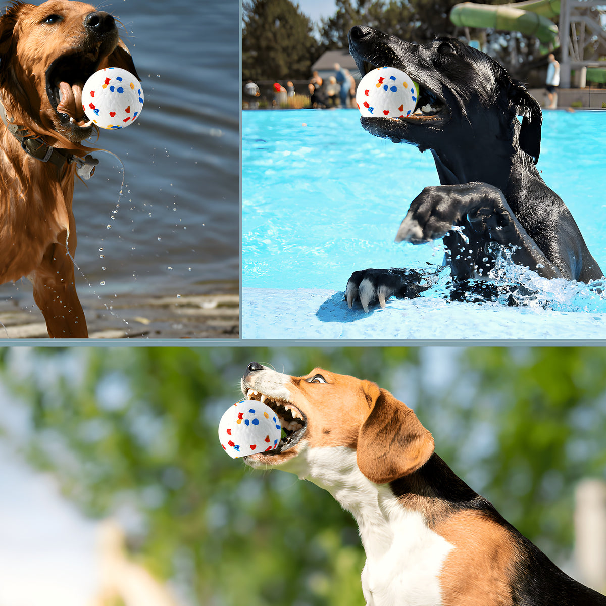 Balle indestructible flottante Ø6,5 cm pour chien