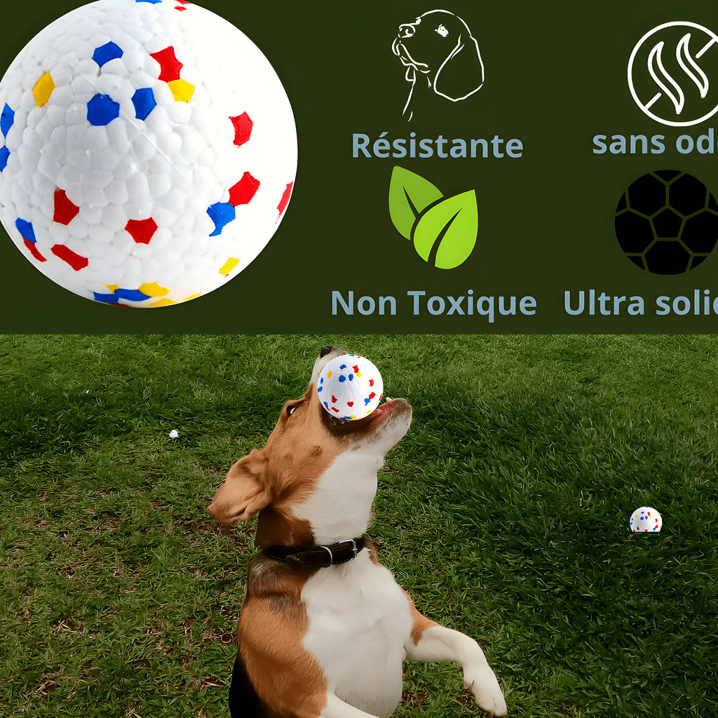 Balle indestructible flottante Ø6,5 cm pour chien