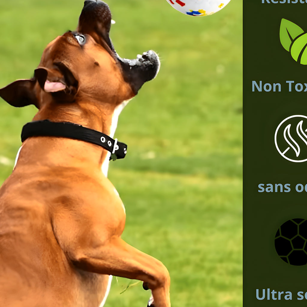Balle indestructible flottante Ø7,5 cm pour grand chien