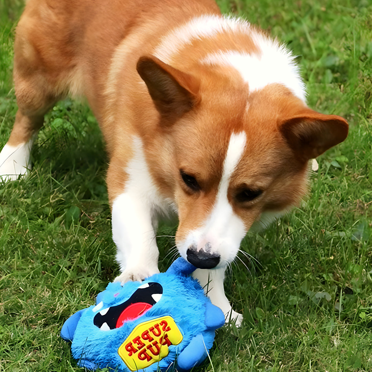 Balle interactive motorisée en peluche Ø19 cm pour chien