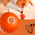Balle interactive rechargeable lumineuse pour chien