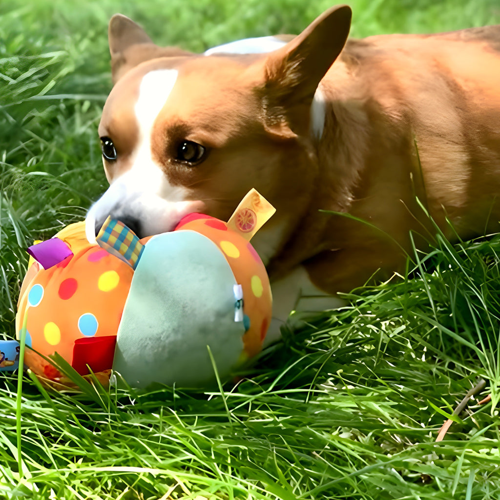 Balle multisensorielle en peluche pour chien
