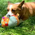 Balle multisensorielle en peluche pour chien