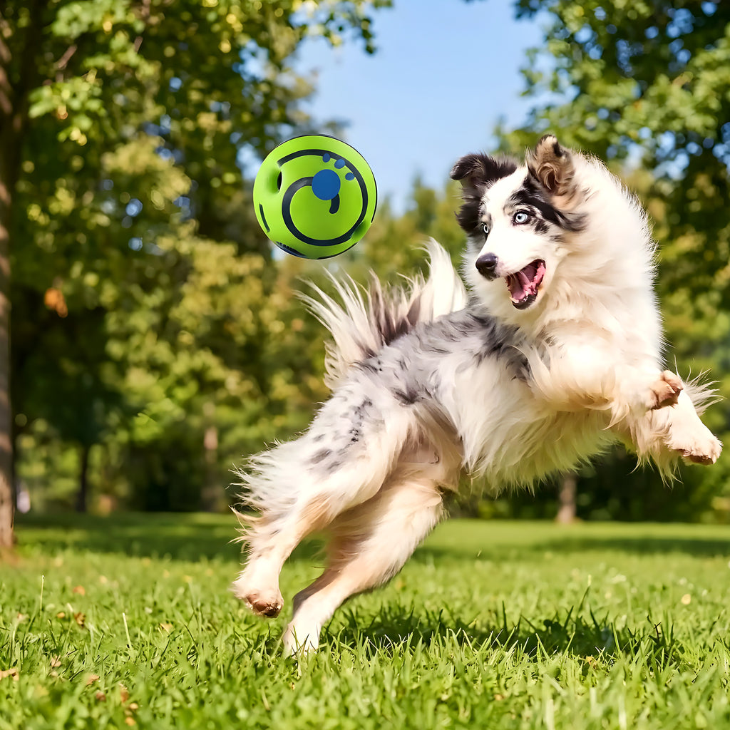 Balle sonore anti-stress pour chien, 3 tailles