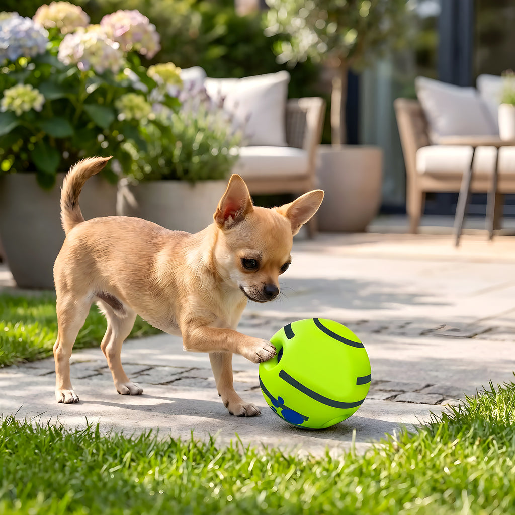 Balle sonore anti-stress pour chien, 3 tailles