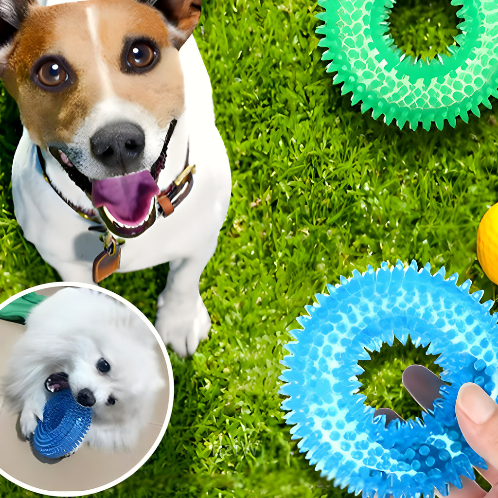 Balle sonore flottante Ø10 cm pour chien