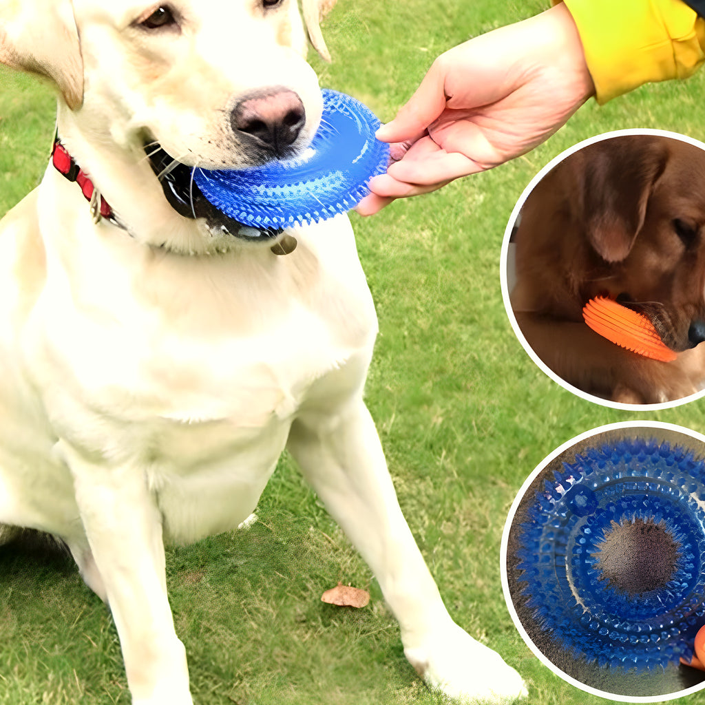 Balle sonore flottante Ø10 cm pour chien