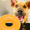 Balle sonore flottante Ø10 cm pour chien