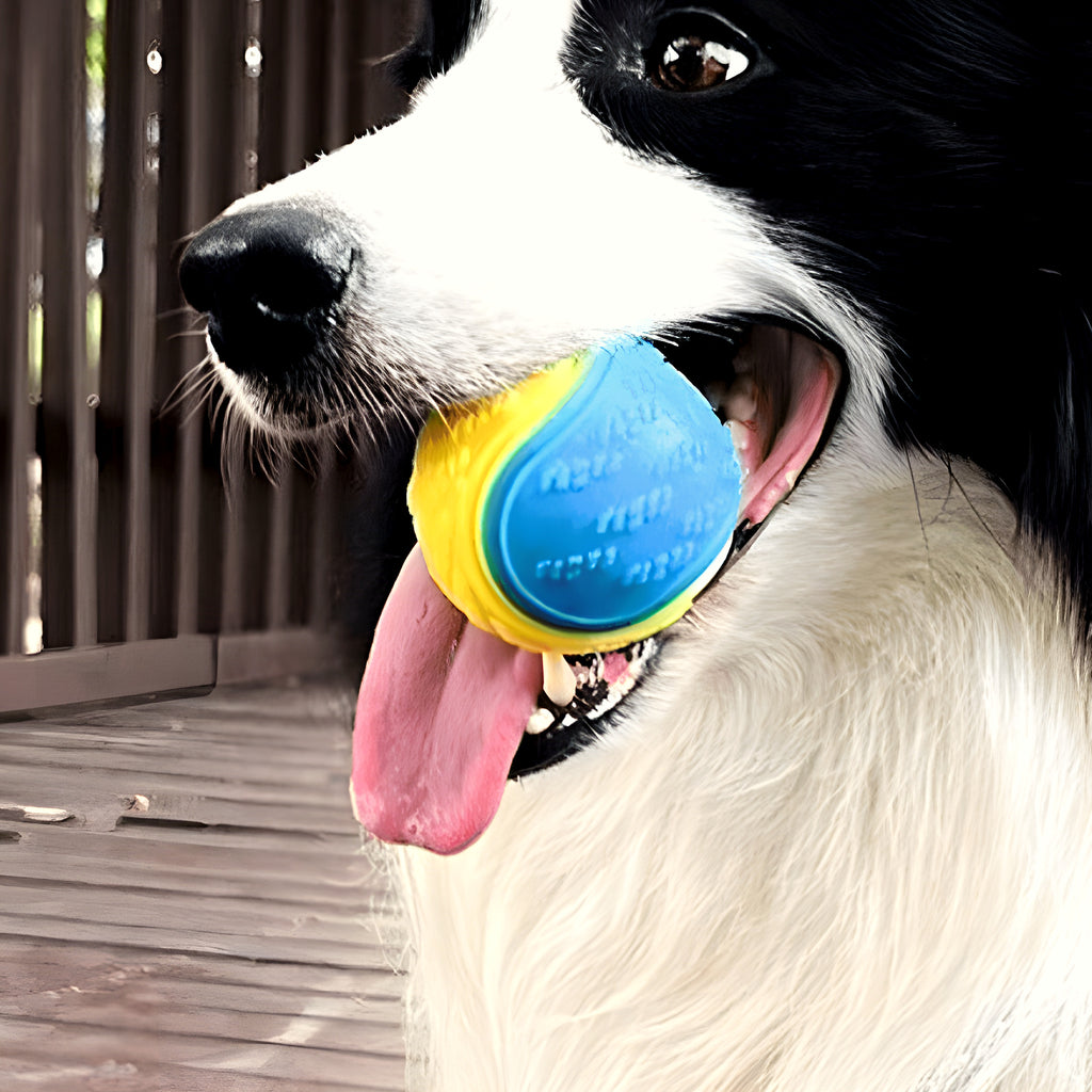 Balles en caoutchouc flottantes multicolores, lot de 3