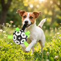 Ballon de foot Ø15 cm pour chien avec pompe