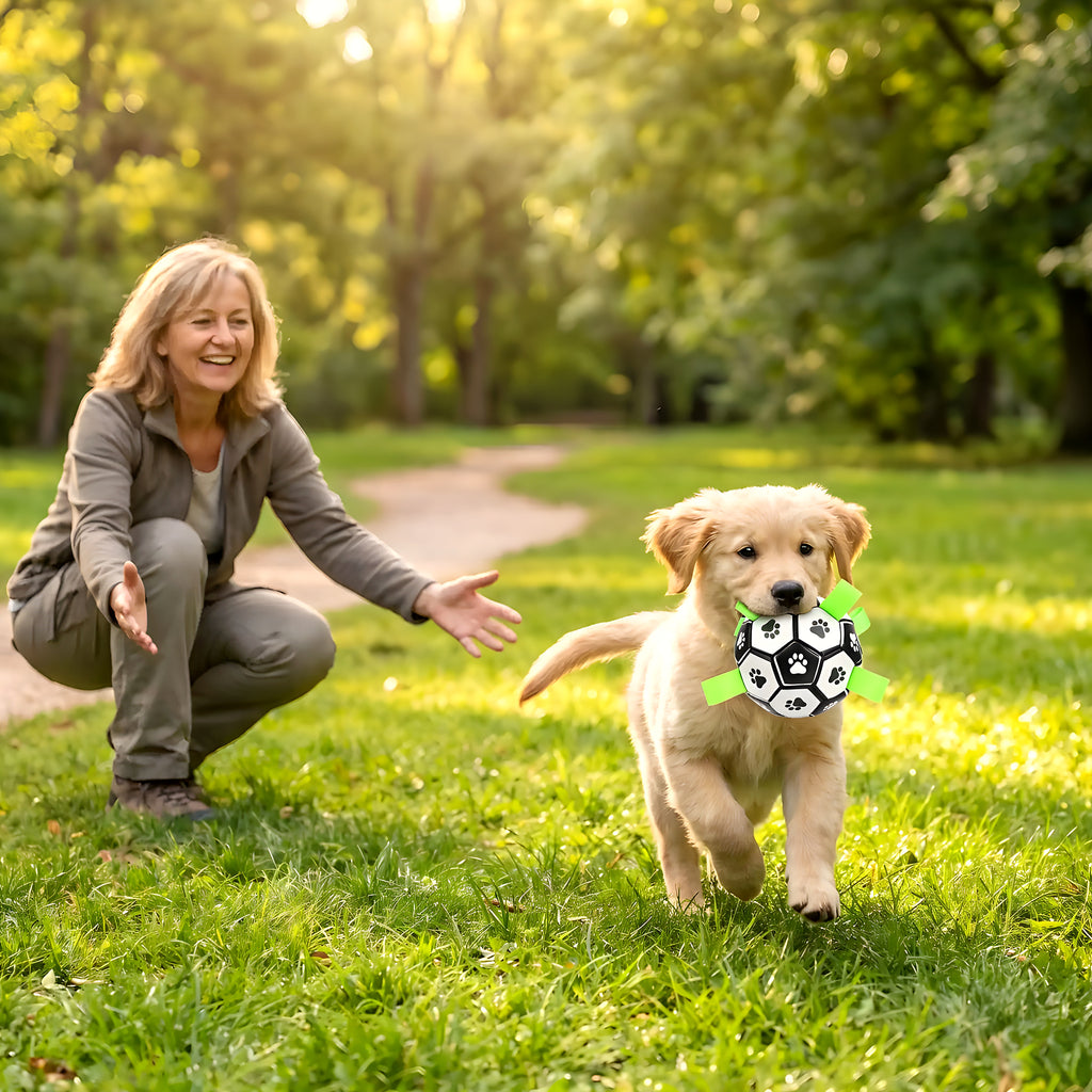 Ballon de foot Ø15 cm pour chien avec pompe